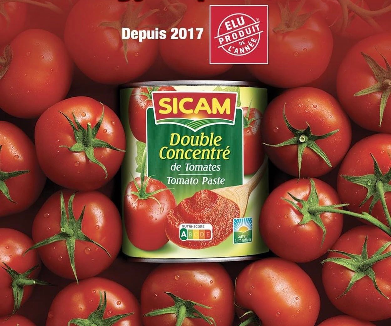 Concentrés de Tomate